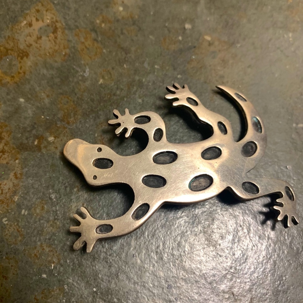 Cool lizard 🦎 pin✨✨✨